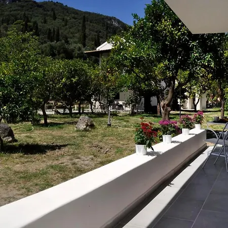 Orange Grove *