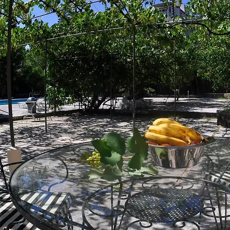 Orange Grove