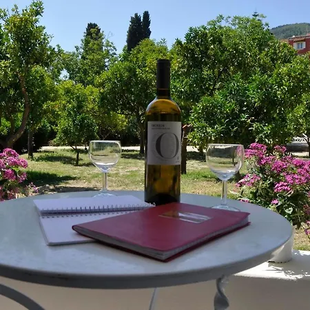 Apartman Orange Grove