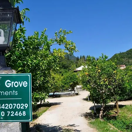 Orange Grove * Benitses (Corfu)