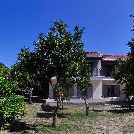 Orange Grove * Benitses (Corfu)