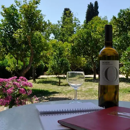 Orange Grove *