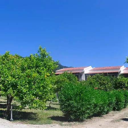 Orange Grove Benitses (Corfu)