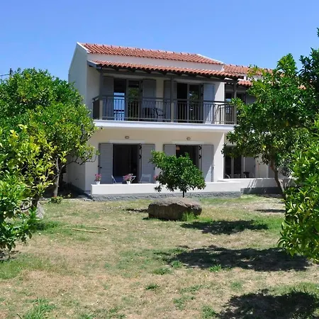 Orange Grove *