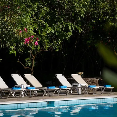 Orange Grove Apartment