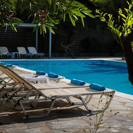 Apartament Orange Grove *