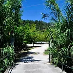 Orange Grove