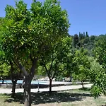 Orange Grove