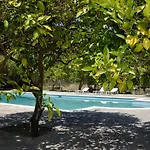 Orange Grove * בניטסס