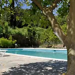 Orange Grove * בניטסס
