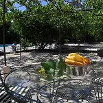 Orange Grove