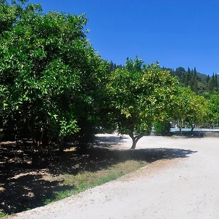 Orange Grove * Benitses (Corfu)