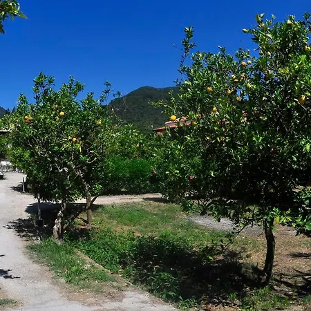 Апартаменты Orange Grove *