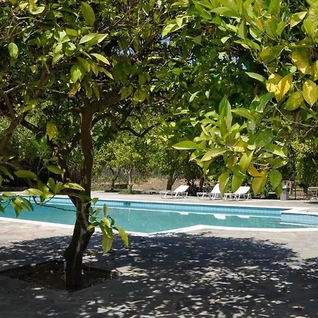 Orange Grove * Benitses (Corfu)