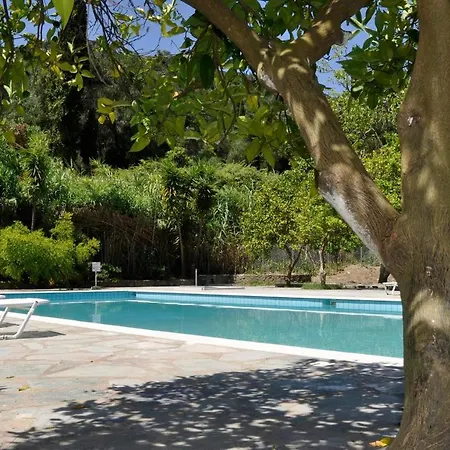 Orange Grove * Benitses (Corfu)