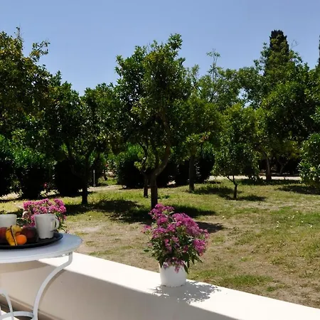 Апартаменты Orange Grove