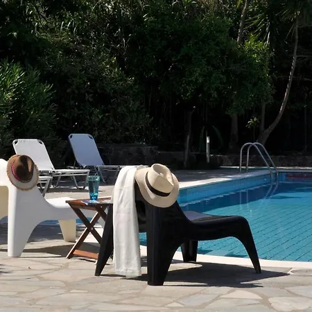 Orange Grove Benitses (Corfu)